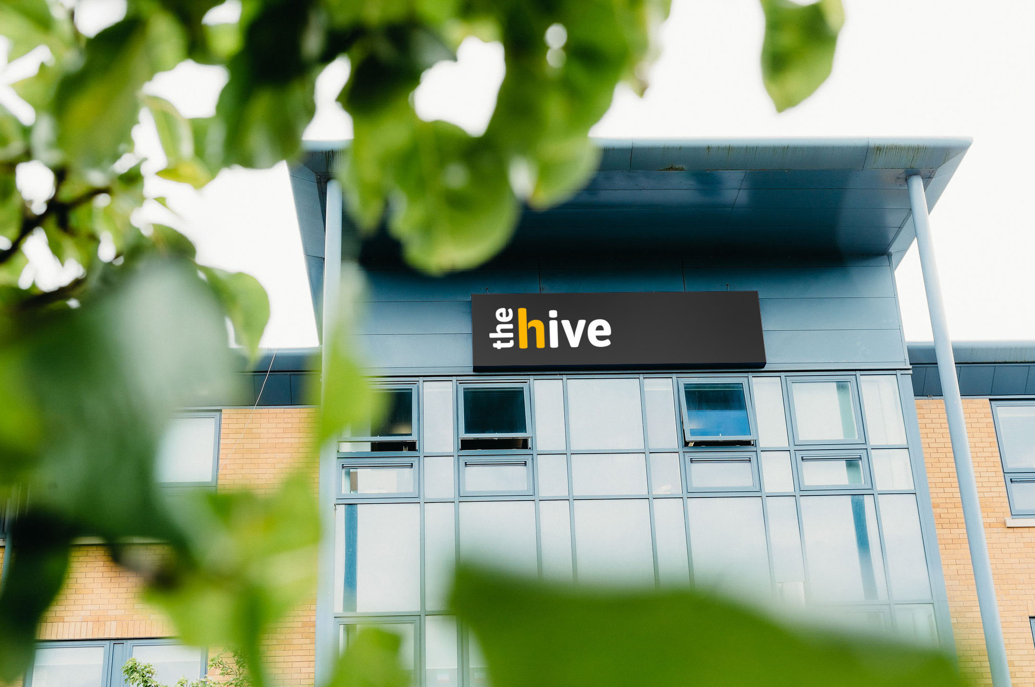 From the North Somerset Enterprise Agency to the hive – welcome to the future!