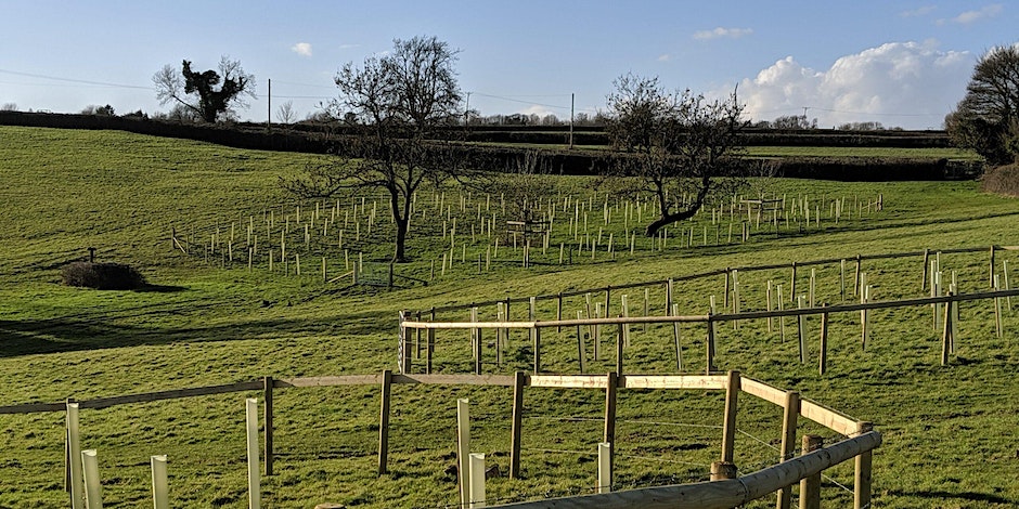 Help shape nature recovery in the West of England