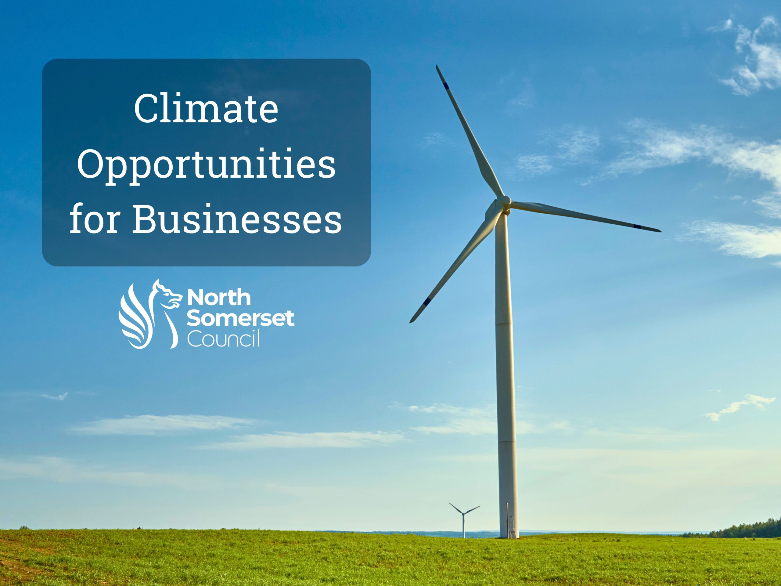 New Climate Funding Opportunities Open to Businesses