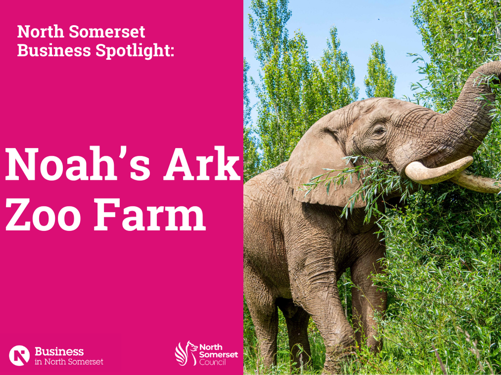 Meet the Attraction: Noah’s Ark Zoo Farm