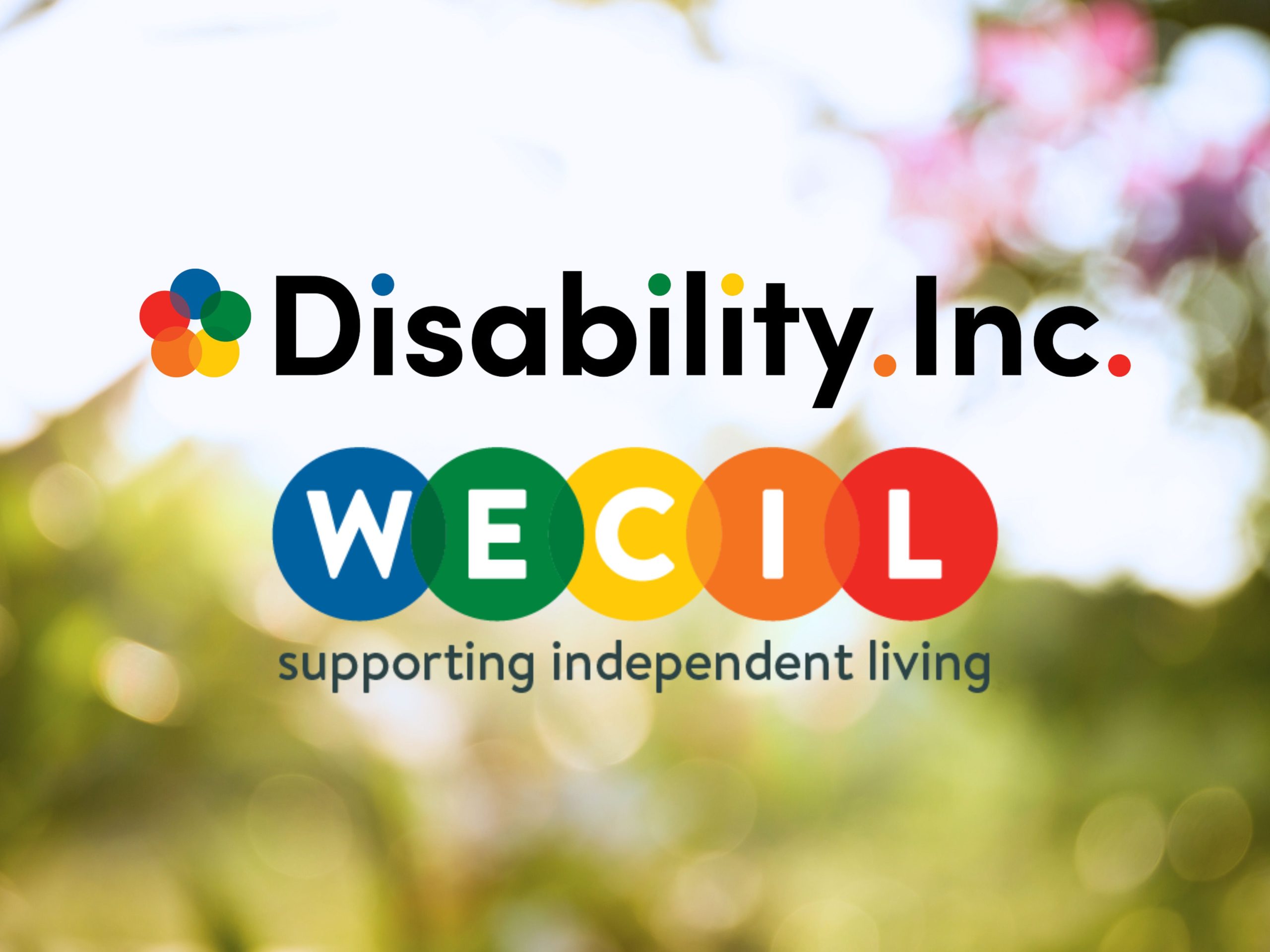 WECIL’s Accessibility Support: Driving Inclusion for Culture West