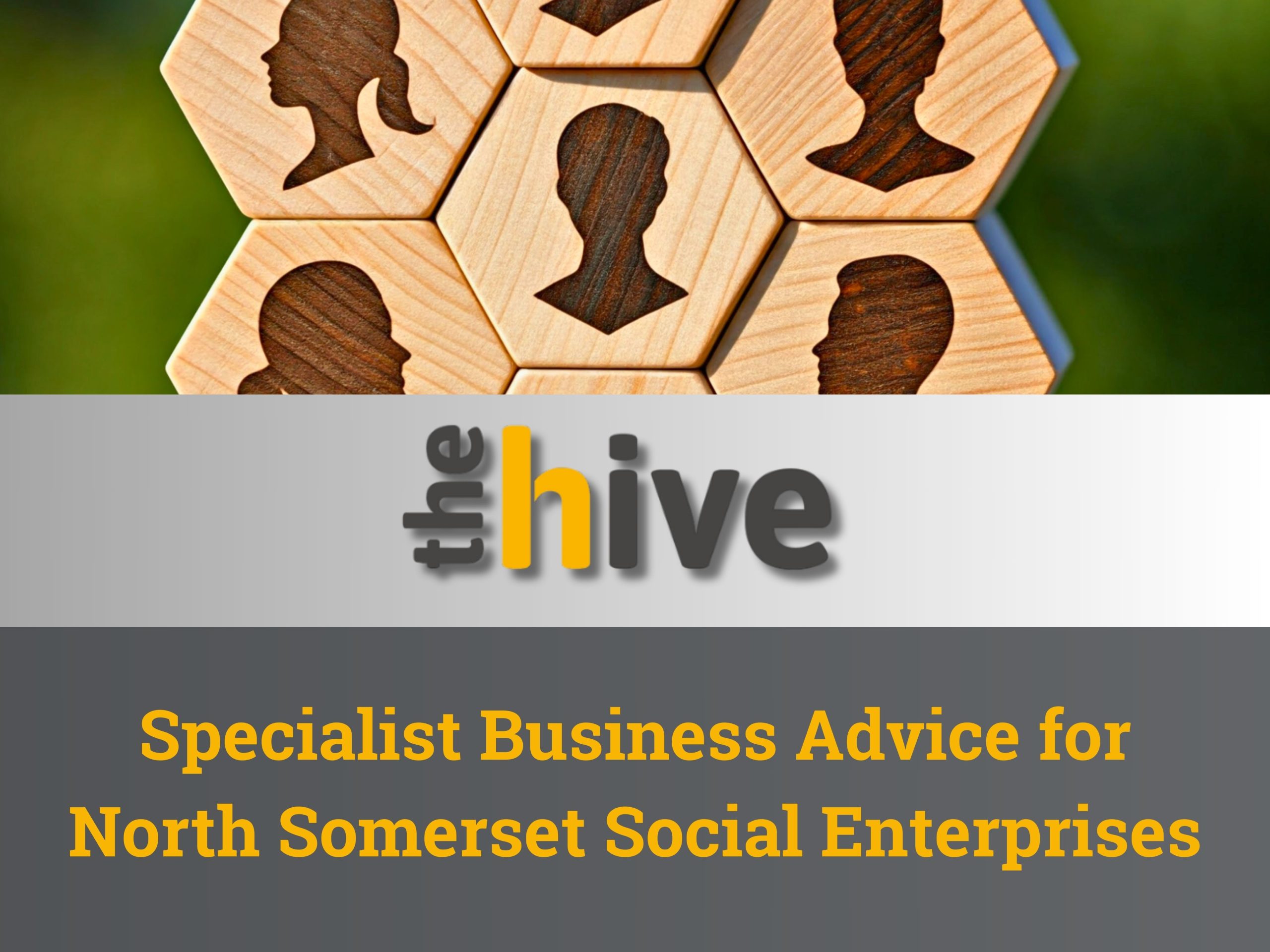 Get Free Expert Advice to Grow Your Social Enterprise in North Somerset