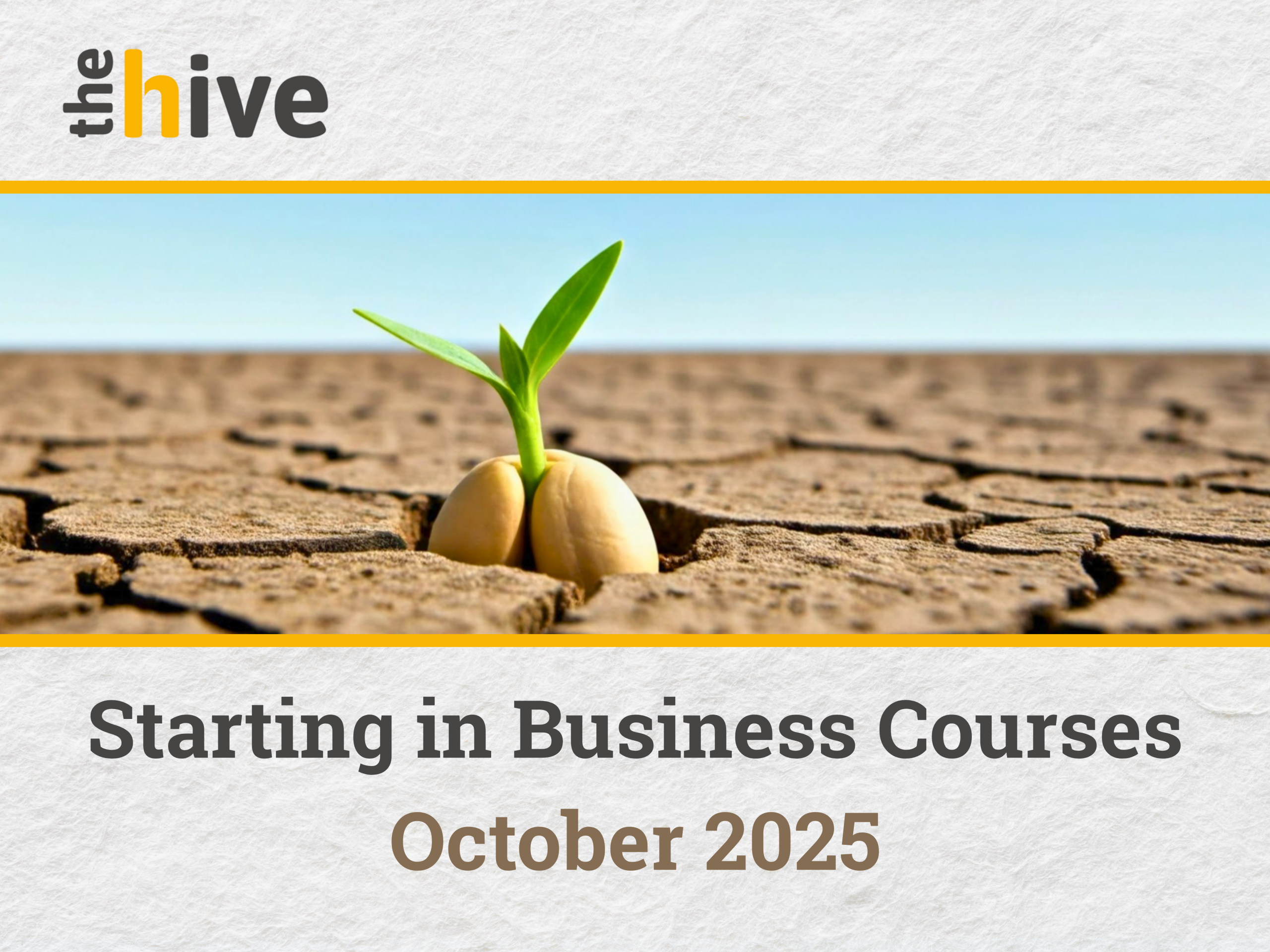 The hive: Three Days of Starting in Business – October 2025