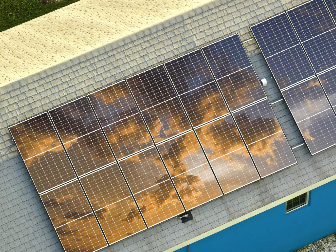 Unlock Sustainability Insights with a Free Carbon Survey – Apply by 31 October