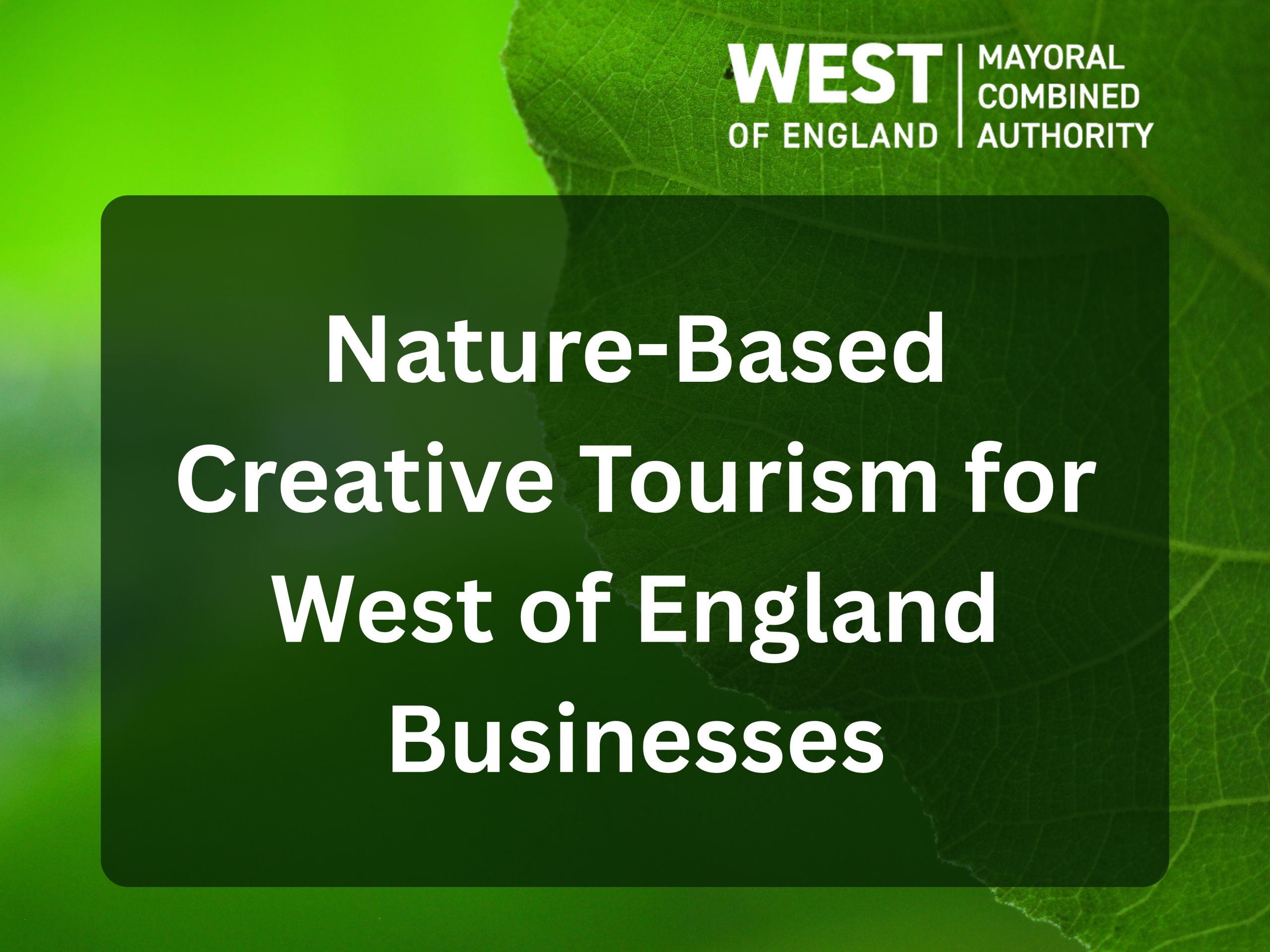 Training Opportunity: Nature-Based Creative Tourism for West of England Businesses