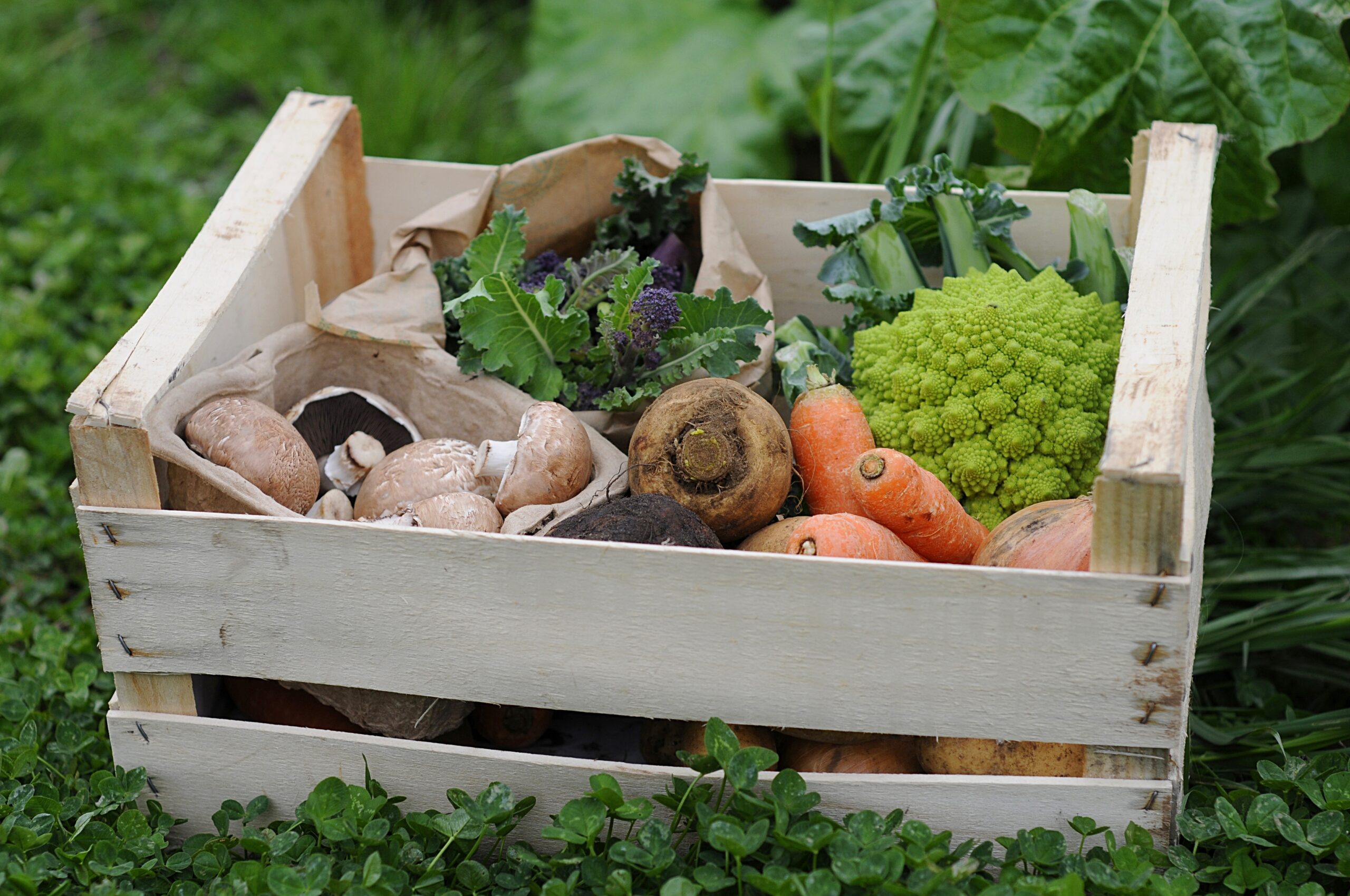 Final Call: Get Listed in the New North Somerset Food & Drink Directory